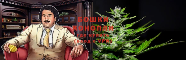 ешки Арсеньев