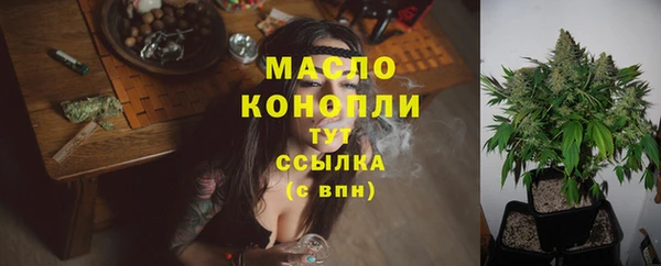ешки Арсеньев