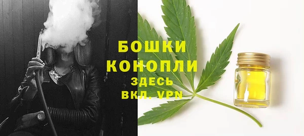 ешки Арсеньев