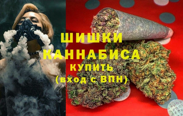 индика Армянск