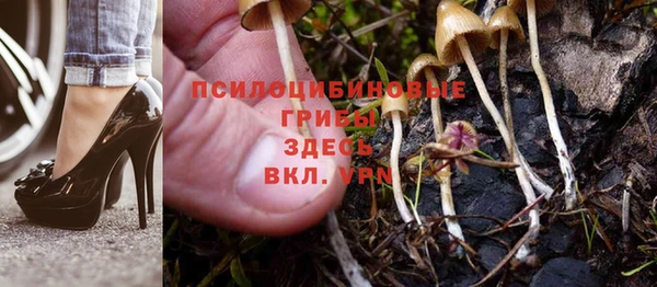 ешки Арсеньев