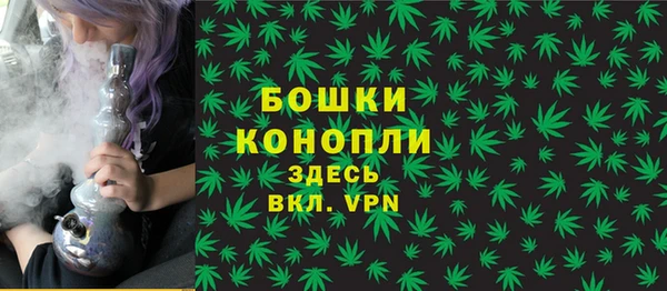 ешки Арсеньев