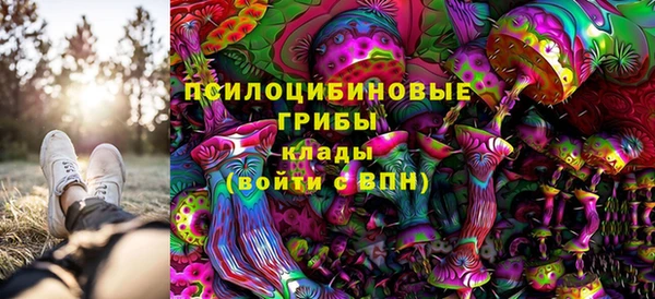 индика Армянск